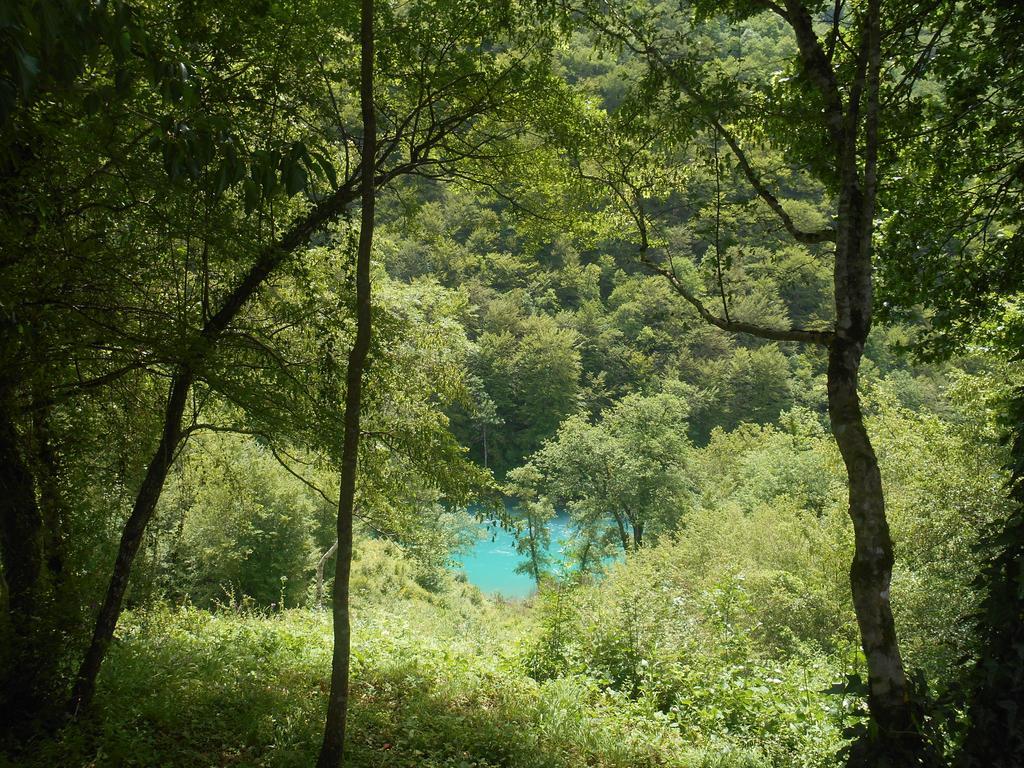 Отель Rafting Camp Tara 87 Hum Экстерьер фото
