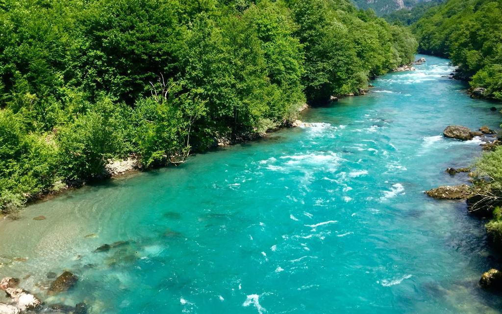 Отель Rafting Camp Tara 87 Hum Экстерьер фото