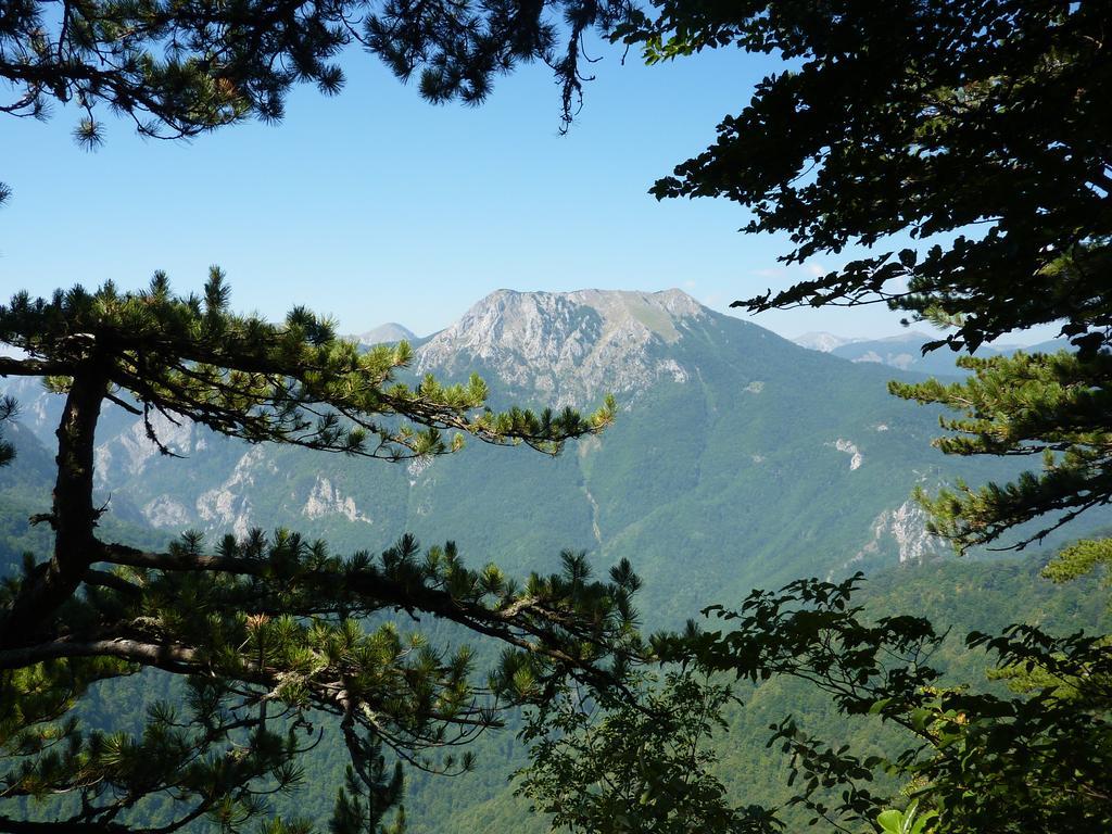 Отель Rafting Camp Tara 87 Hum Экстерьер фото