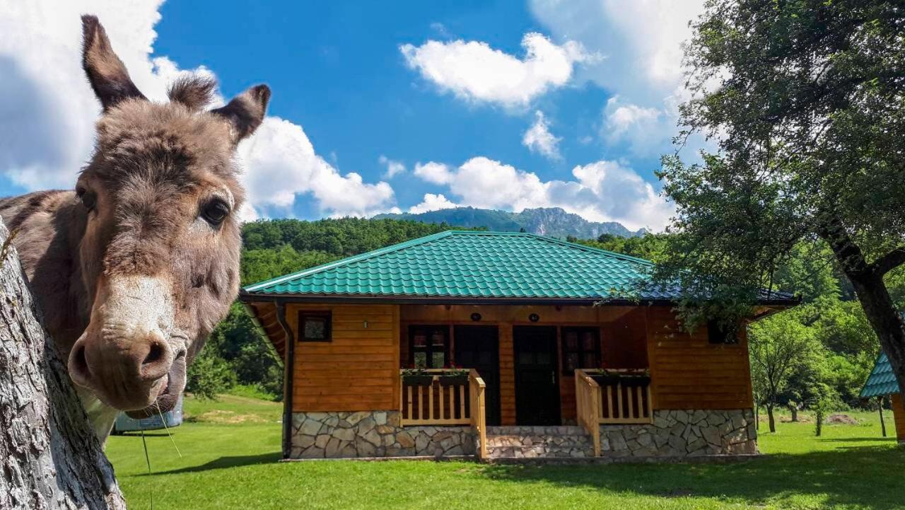 Отель Rafting Camp Tara 87 Hum Экстерьер фото